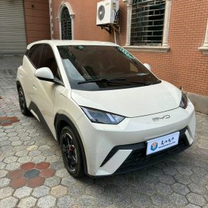 2023 BYD Seagull